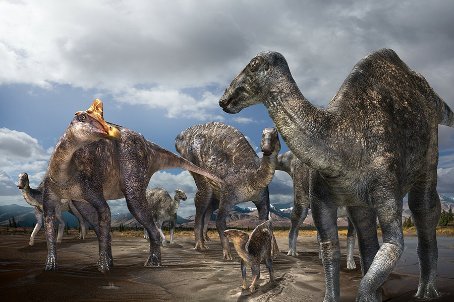 First Lambeosaurine Dinosaur From The Arctic Discovered Paleontology World